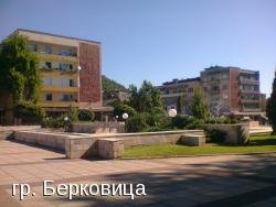 Берковица, 03928