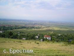 село Брестник EKATTE 06447