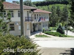 Община Борово